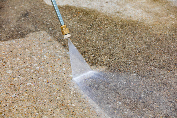 Best Sidewalk and Walkway Cleaning  in Dayton, MN